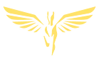 Фірмовий знак Vash Center: золотий птах